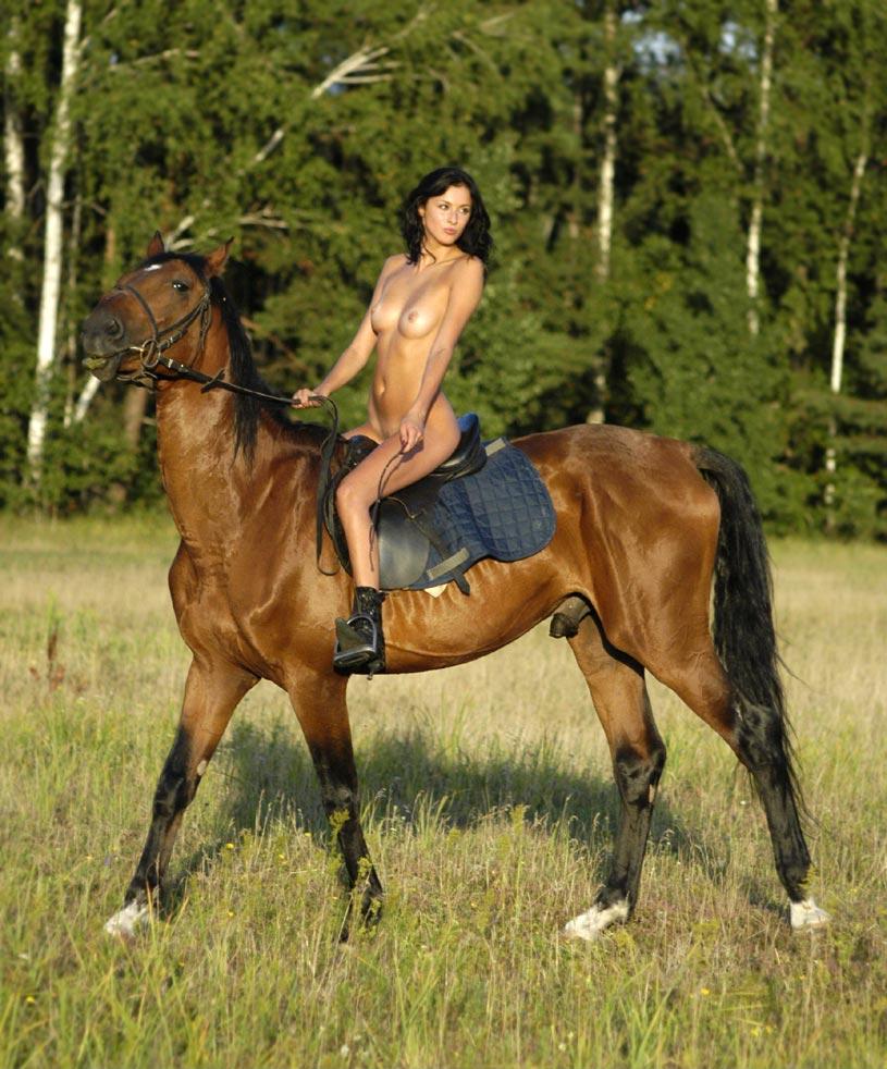 Sexy naked equestrian girls