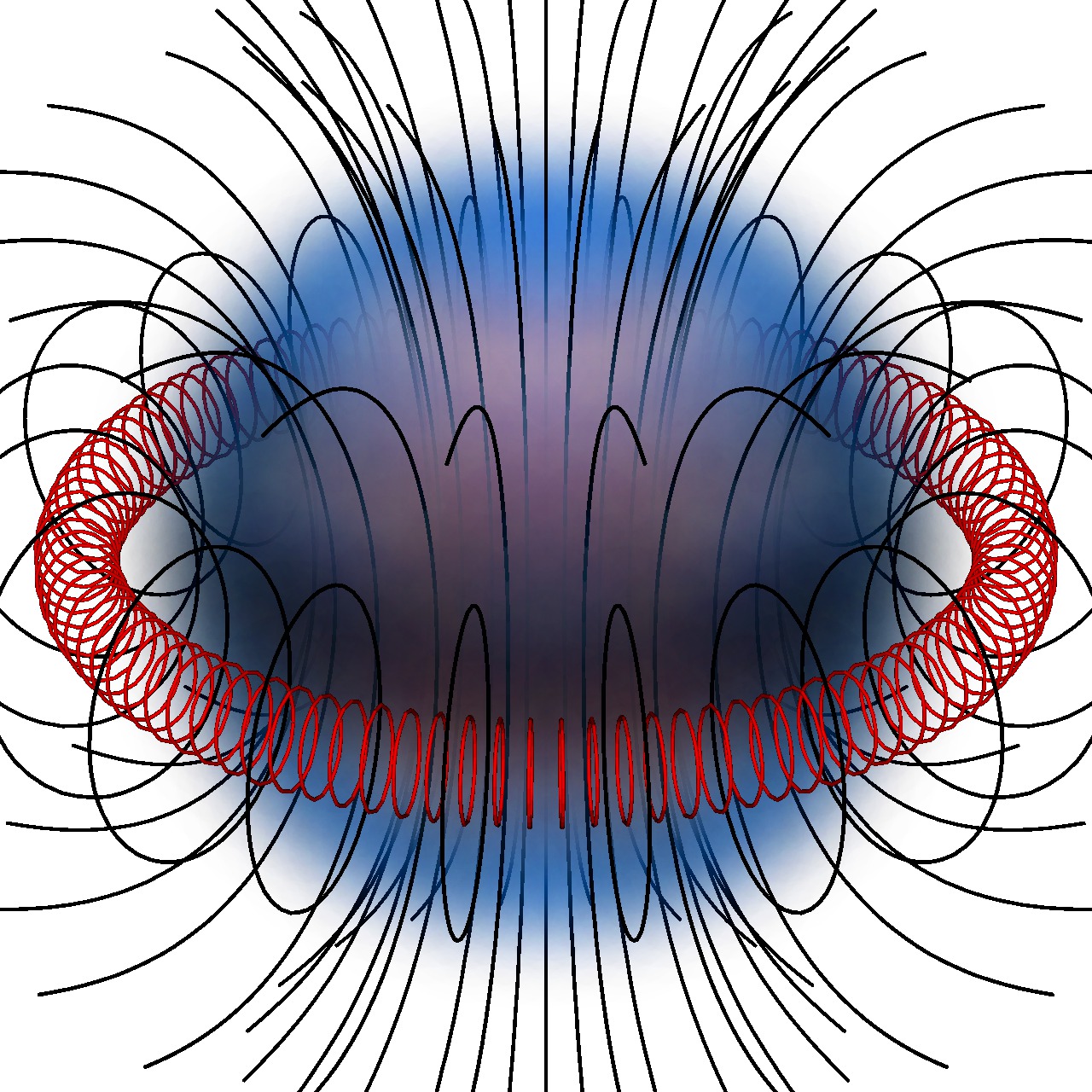 Magnetic field of the neutral zona